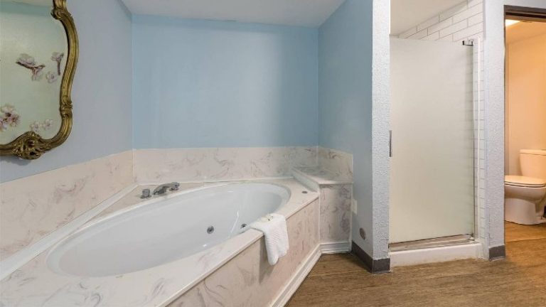 Econo Lodge Inn & Suites Durango