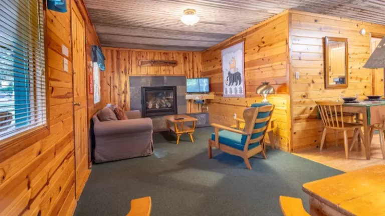 Ruidoso Lodge Cabin