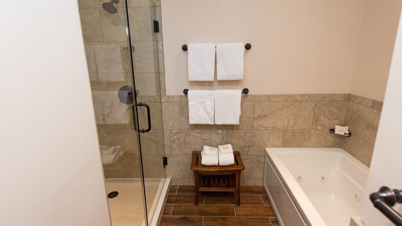 Village Hotel on Biltmore Estate, room with private jacuzzi, photo 2