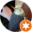 Chris Eckersen profile picture