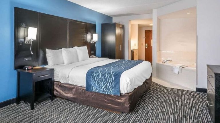 Comfort Inn University