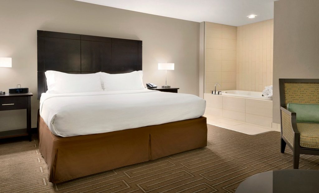 Holiday Inn & Suites Duluth-Downtown