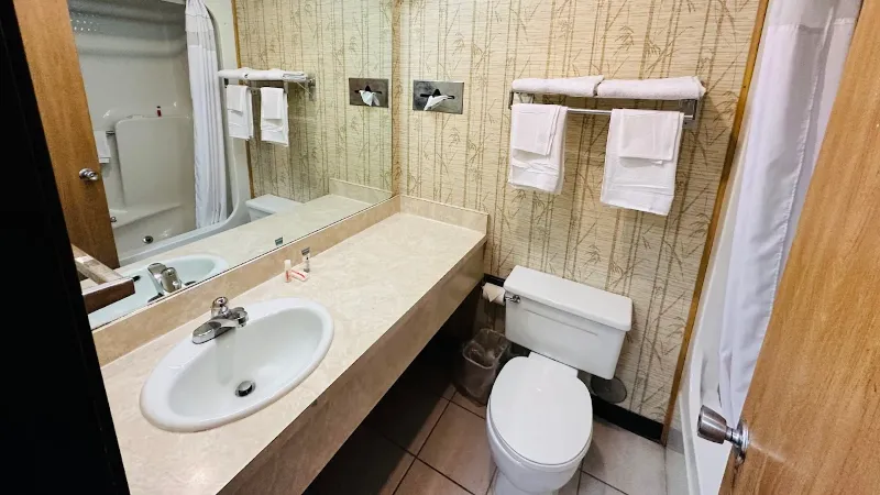 Travel Inn & Suites, room with private jacuzzi, photo 4