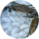Kevin Price profile picture