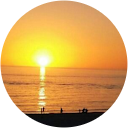 pam murray profile picture