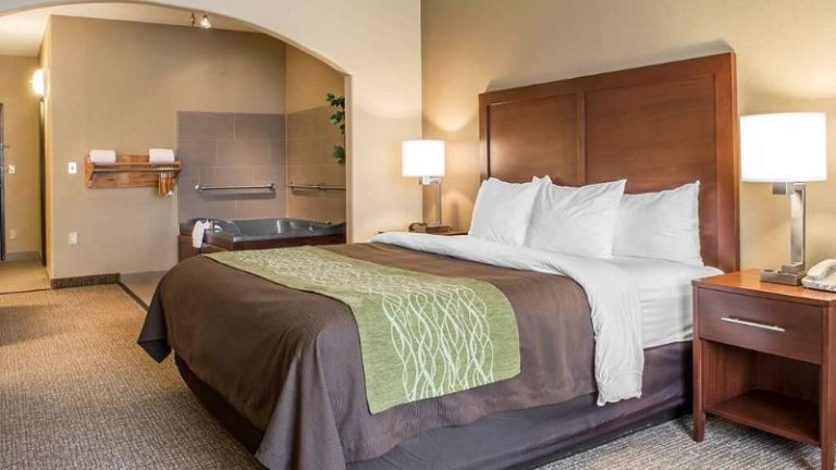 Comfort Inn Edinburg