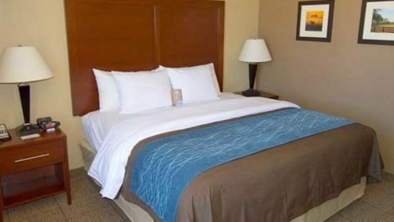 Comfort Inn & Suites Plano East