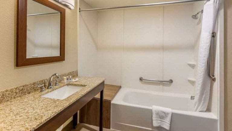 Comfort Suites Near Denver Downtown