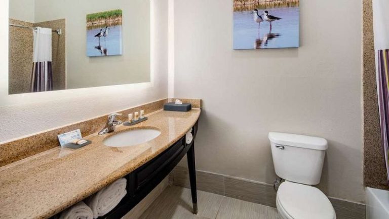 La Quinta Inn & Suites by Wyndham Alamo – McAllen East
