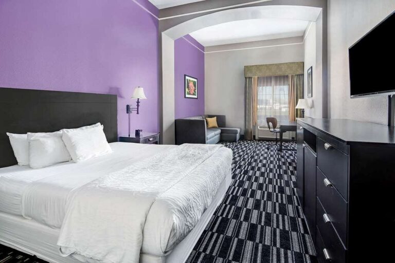 La Quinta Inn & Suites by Wyndham Alamo – McAllen East