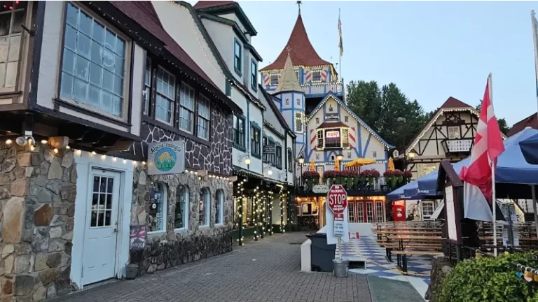 Black Forest Vacation Rentals