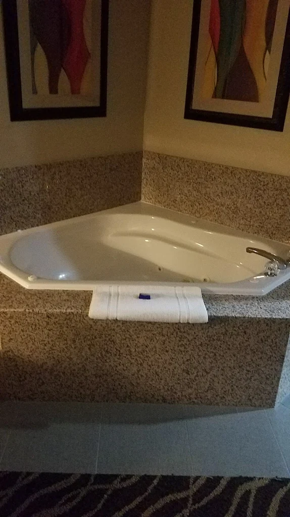 Best Western Plus Suites-Greenville