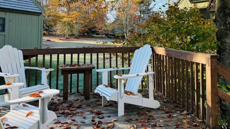 Black Bear Resort