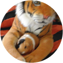 Andrew Randall profile picture