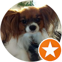 Mary Muscari profile picture