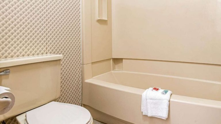 Econo Lodge Airport – Holland