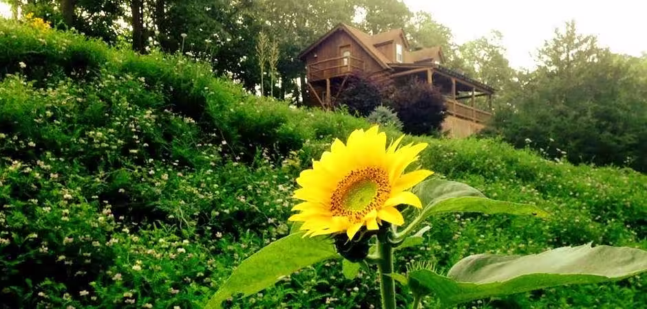 Lazee Daze Cabins, cabin with a private hot tub, photo 6