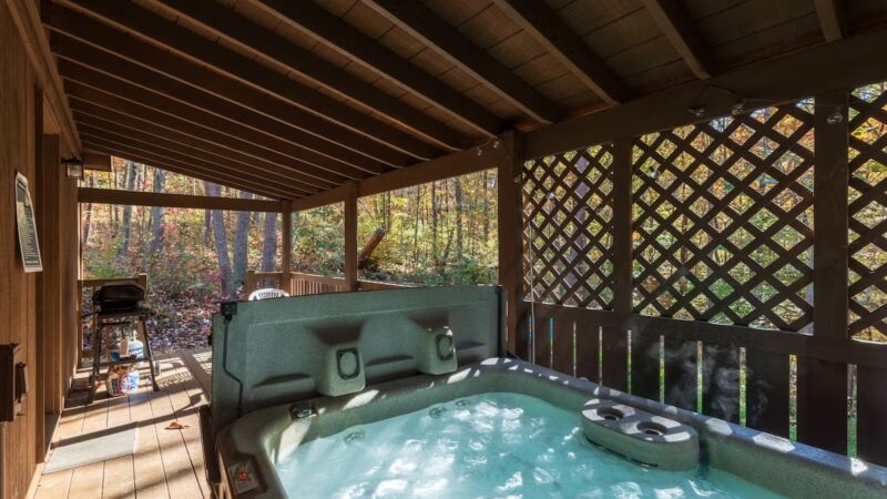Blue Rose Cabins, cabin with a private hot tub