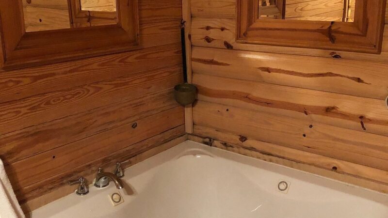 Mena Mountaintop Cabins, cabin with a private hot tub, photo 1