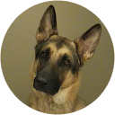 Ally K profile picture