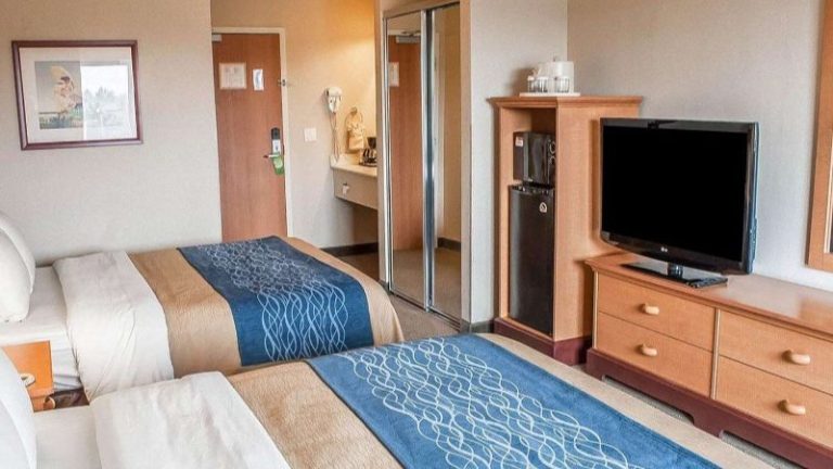 Comfort Inn and Suites