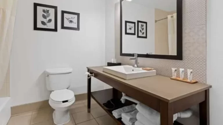 Country Inn & Suites by Radisson, Macon North, GA