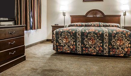 Econo Lodge Inn & Suites North Syracuse Airport