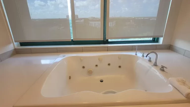Embassy Suites by Hilton Tampa USF Near Busch Gardens