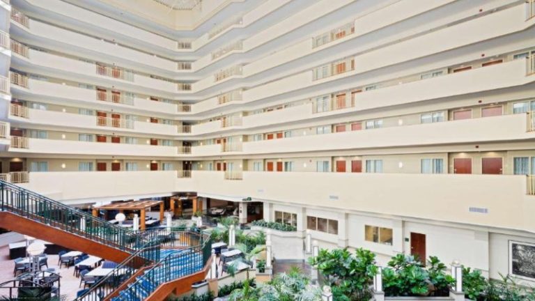 Embassy Suites by Hilton Tampa USF Near Busch Gardens