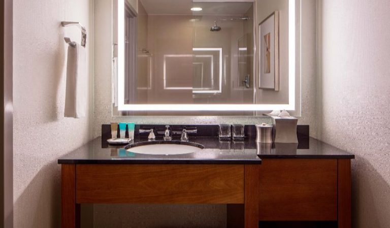 Hyatt Regency Crystal City at Reagan National Airport