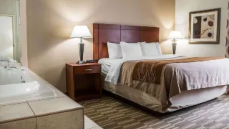 Spark by Hilton Ann Arbor South