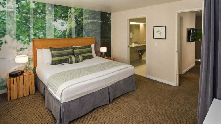 The Domain Hotel