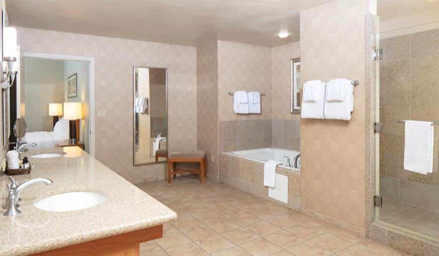 The Platinum Hotel, room with private jacuzzi, photo 4