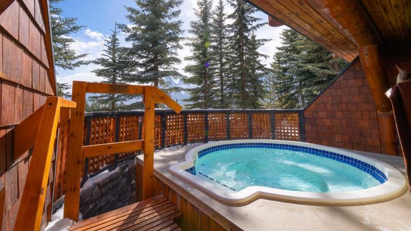 A Bear and Bison Canadian Country Inn, room with private jacuzzi, photo 7