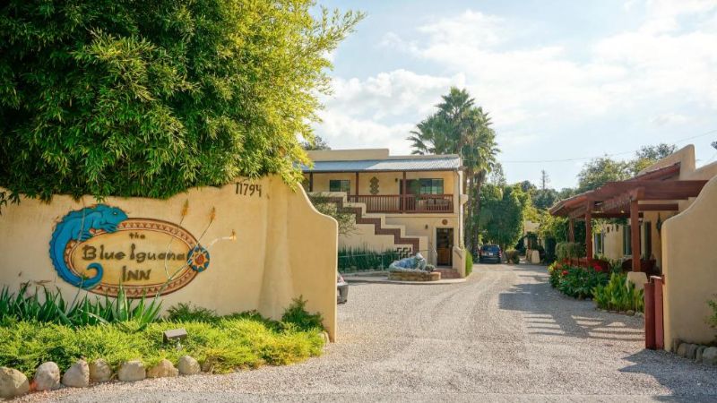 Blue Iguana Inn, room with private jacuzzi, photo 6
