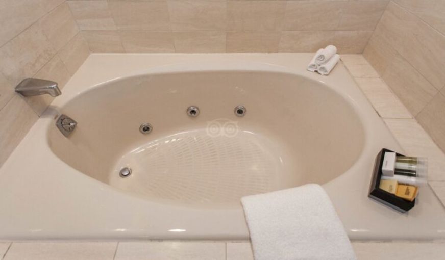 Cambridge Suites Toronto, room with private jacuzzi, photo 4