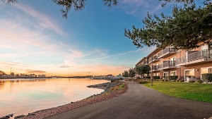 Best Western Plus Bayside Hotel place picture