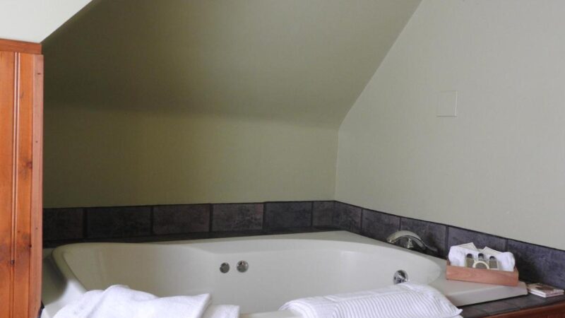 Champaign Garden Inn - jacuzzi hotel room