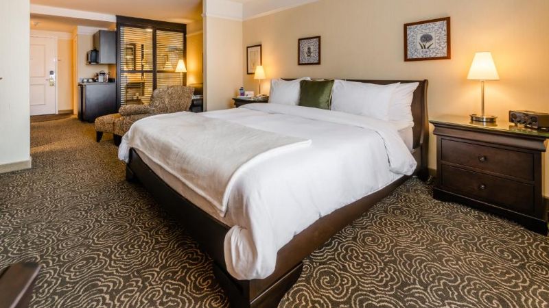 Le St-Martin Hotel & Suites, room with private jacuzzi, photo 3