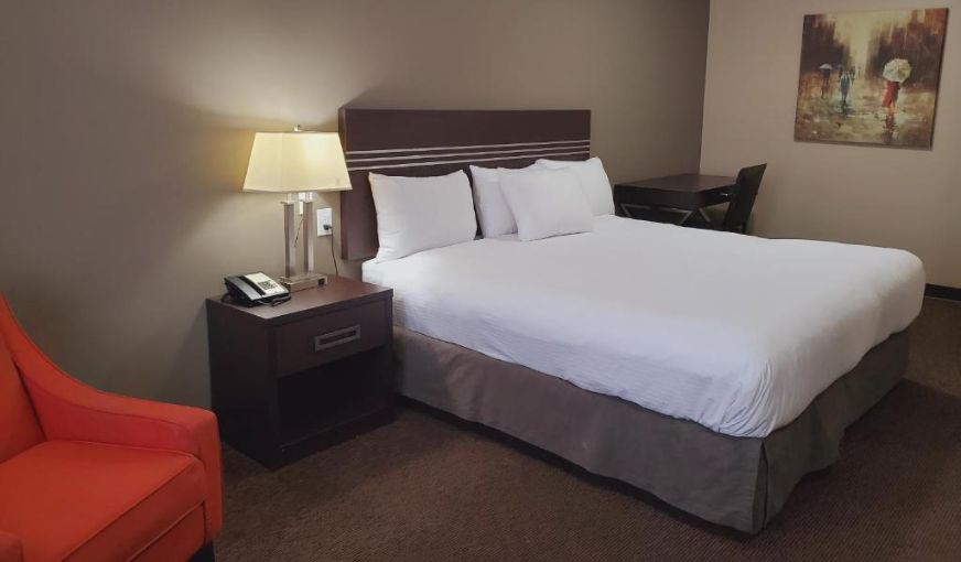 Royal Lodge, room with private jacuzzi, photo 2