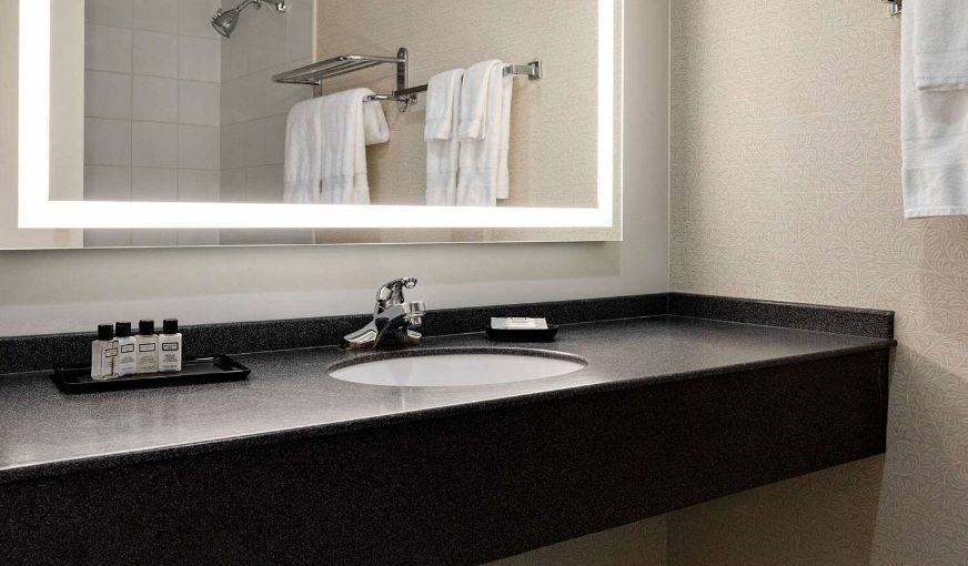 Wyndham Edmonton Hotel and Conference Centre, room with private jacuzzi, photo 4