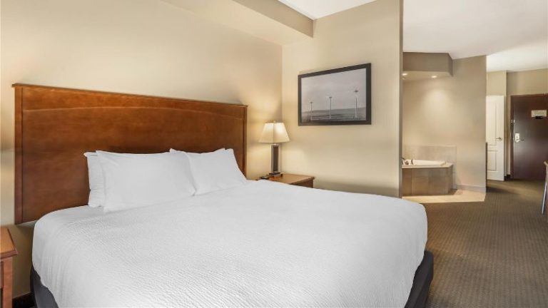 Best Western Plus Service Inn & Suites