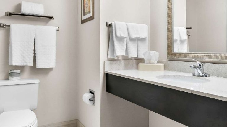 Best Western Okemos/East Lansing Hotel & Suites