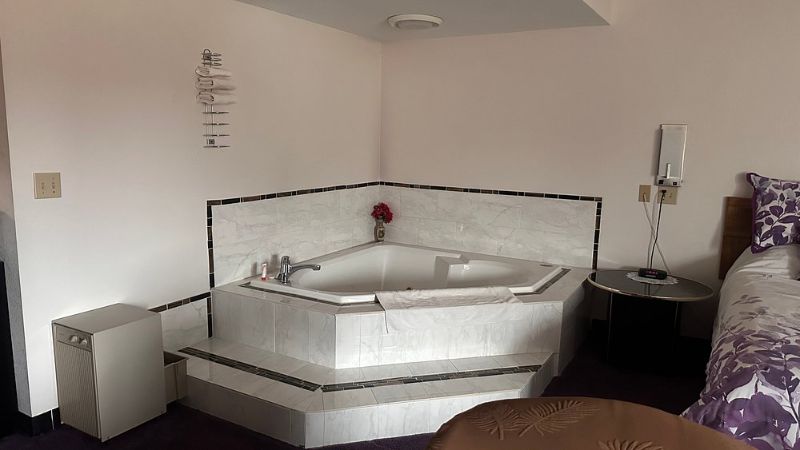 Chesaning Inn & Suites