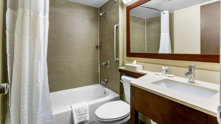 Comfort Inn Red Horse Frederick