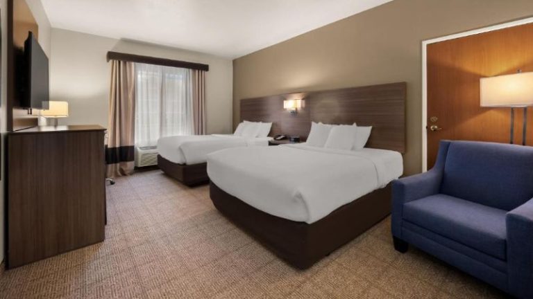 Comfort Inn & Suites Fenton
