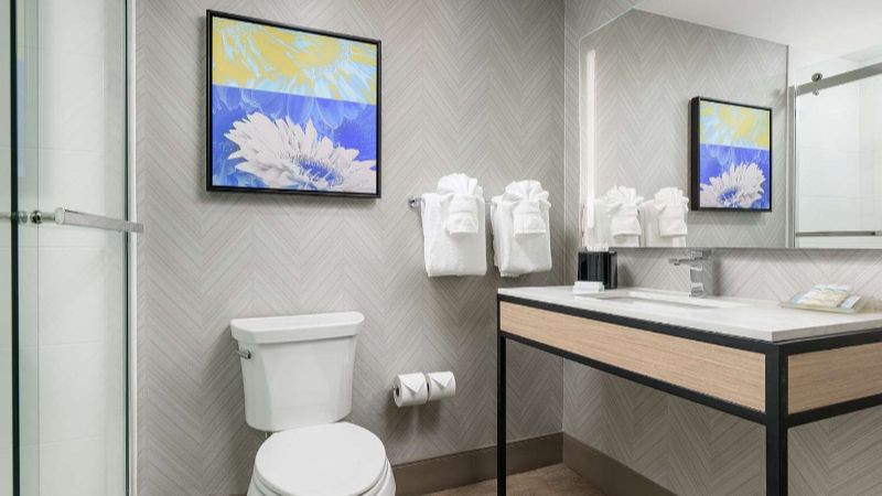 Hilton Garden Inn Nashville Franklin-Cool Springs, room with private jacuzzi, photo 3