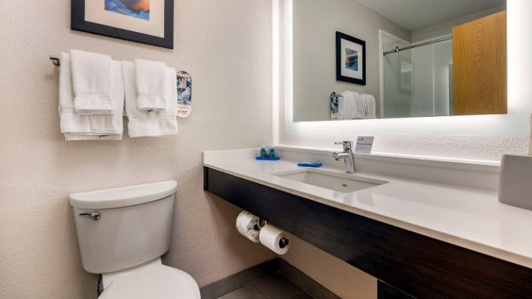 Holiday Inn Express Metropolis