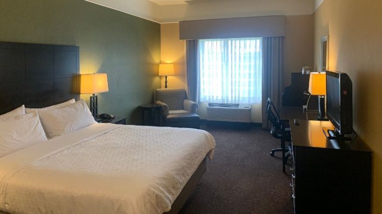 Holiday Inn Express & Suites Lansing-Dimondale