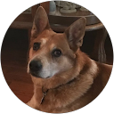 Robert Tompkins profile picture
